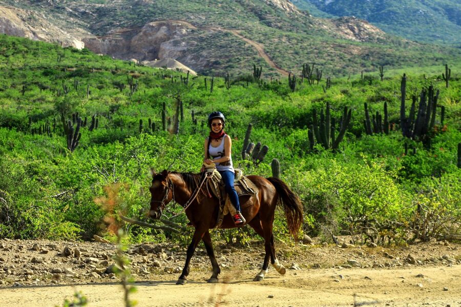 Tacos and Horseback Riding at Migriño beach - Is a three-hour tour really three hours?