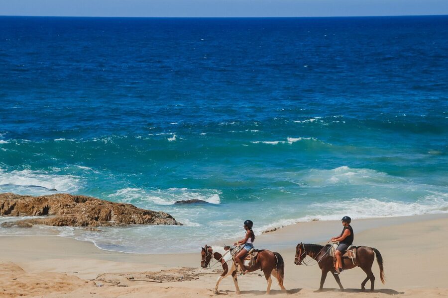 Tacos and Horseback Riding at Migriño beach - Practical details that affect your decision