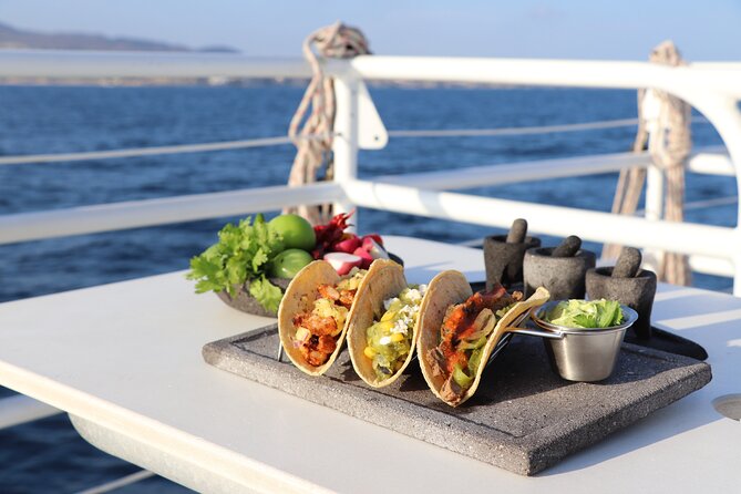 Tacos buffet & Open Bar Cruise! Los Cabos Round Transportation - Is $161 a fair price?