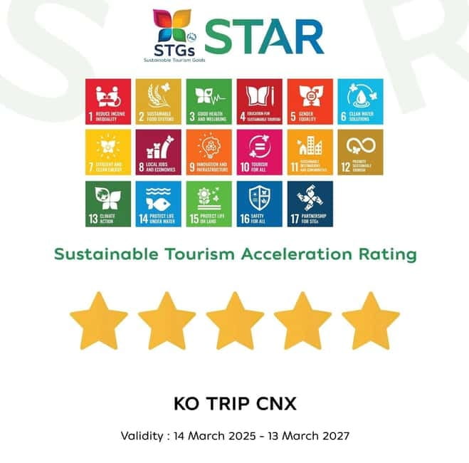 Taste of Chiang Mai: Michelin Guide & Street Food Tour - Starting near Tha Pae Road