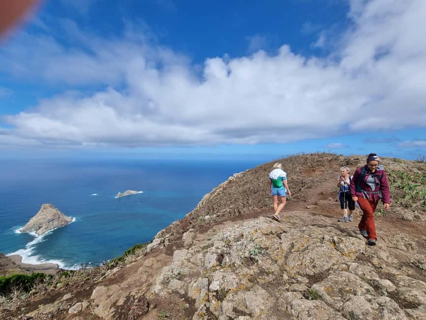 Tenerife: Panoramic Laurel Forest Guided Hike and local food - Key points at a glance
