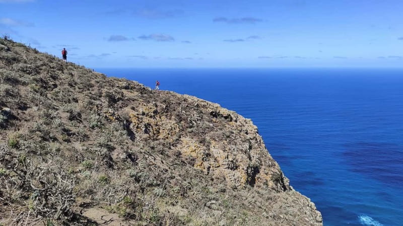 Tenerife: Panoramic Laurel Forest Guided Hike and local food - The Roques de Anaga from high cliff paths