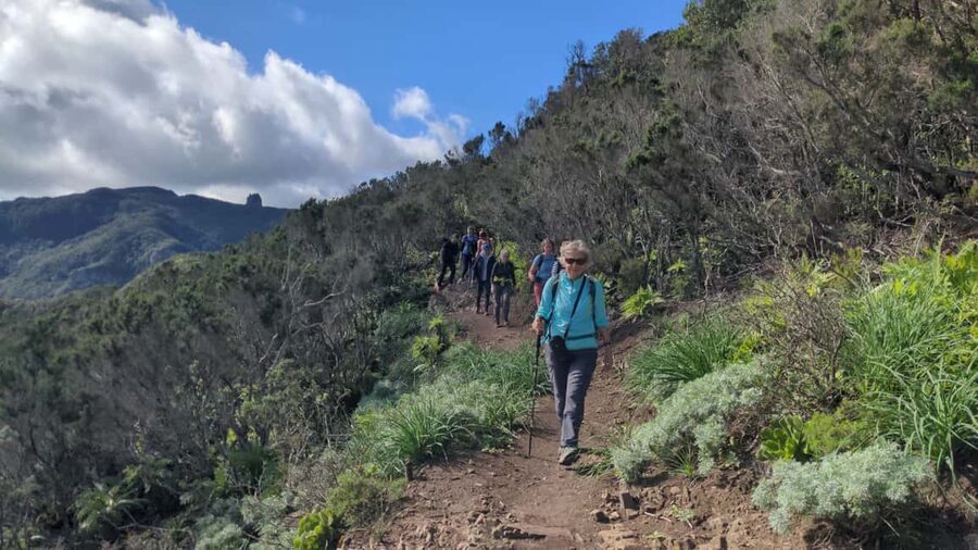 Tenerife: Panoramic Laurel Forest Guided Hike and local food - Juana’s place and the local food stop