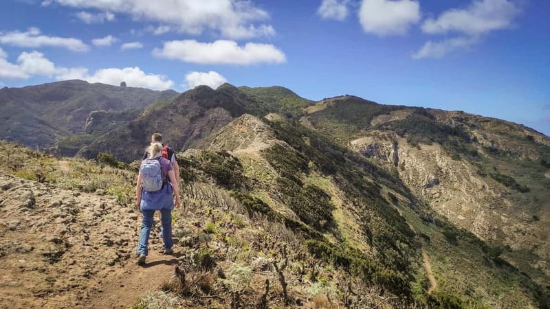 Tenerife: Panoramic Laurel Forest Guided Hike and local food - Starting at Chamorga, where the road runs out