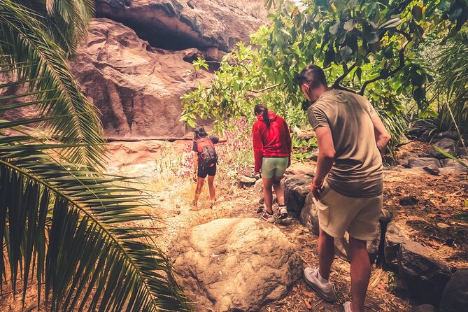 The Red Canyon Tour - Small Group Trip with Local Food Tasting ツ - The small-group setup and guide quality