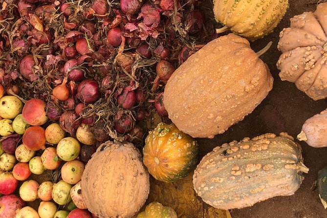 The Sunday Market in Had Draa & Local Food Tasting. - Who will enjoy this experience most?