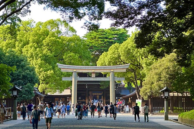 Tokyo Morning Tour: Asakusa, Meiji Shrine and Tsukiji Fish Market - Three Tokyo districts in one well-timed morning