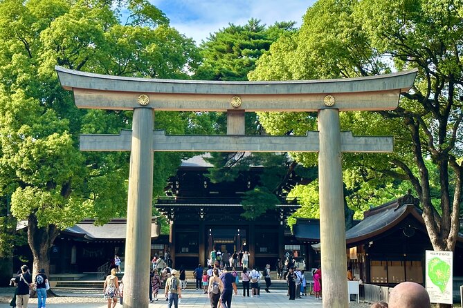 Tokyo Morning Tour: Asakusa, Meiji Shrine and Tsukiji Fish Market - Is $157 good value for four hours?