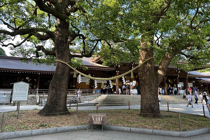 Tokyo Morning Tour: Asakusa, Meiji Shrine and Tsukiji Fish Market - Who will enjoy this morning tour?