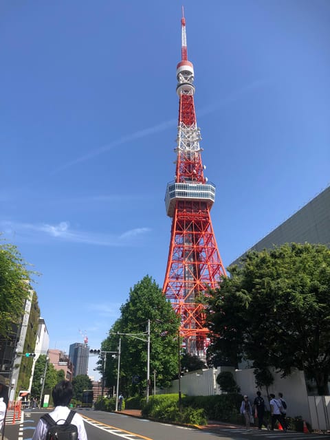 Tokyo Tours in Spanish (Tsukiji Market-Ginza-Tokyo Tower) - Key points to know before booking