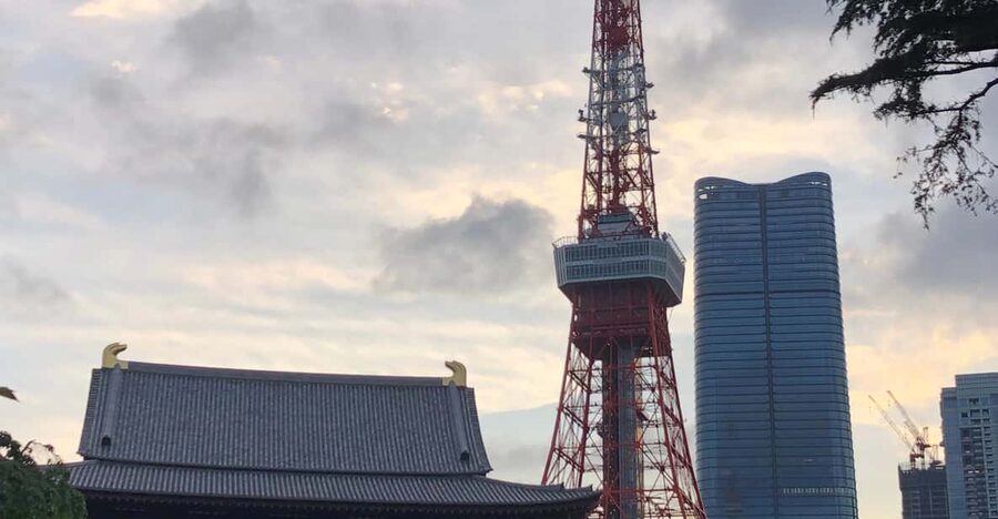 Tokyo Tours in Spanish (Tsukiji Market-Ginza-Tokyo Tower) - The $103 price and what you still pay