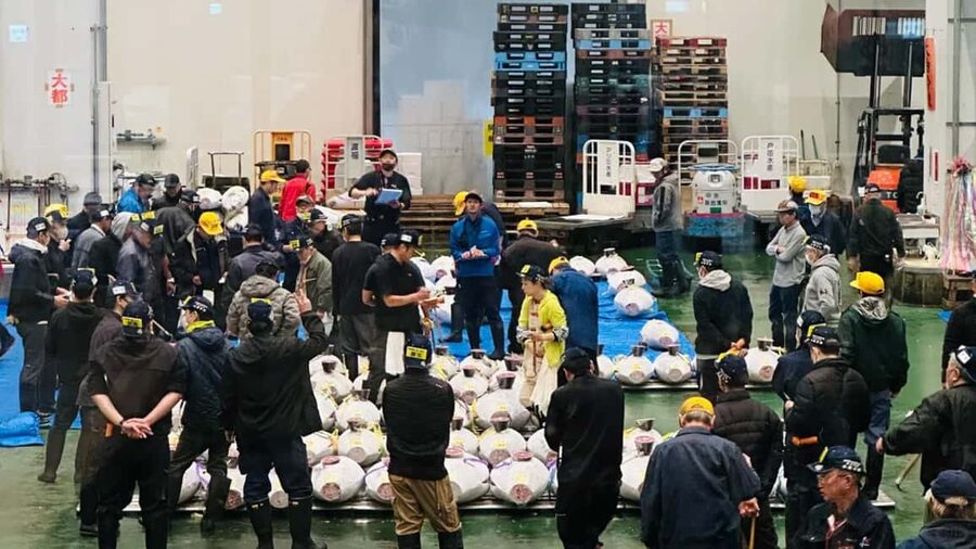 Tokyo: Toyosu Tuna Auction &Tsukiji Market Gourmet Adventure - From Toyosu to Tsukiji in 15 minutes