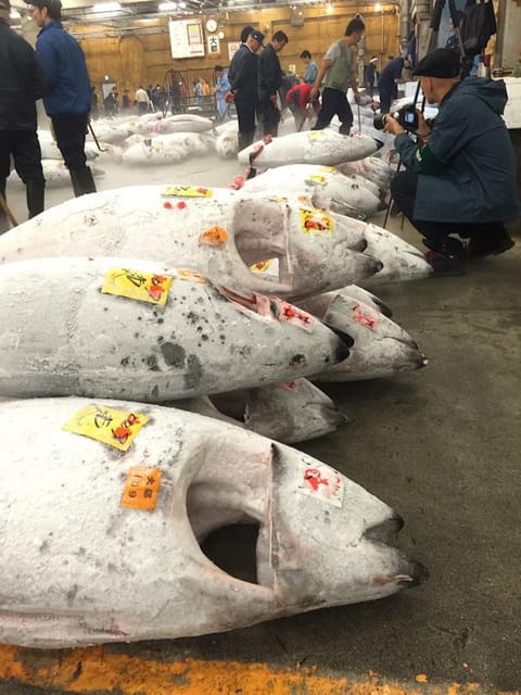 Tokyo: Tsukiji Fish Market Foodie and Educational Tour - Key points at a glance