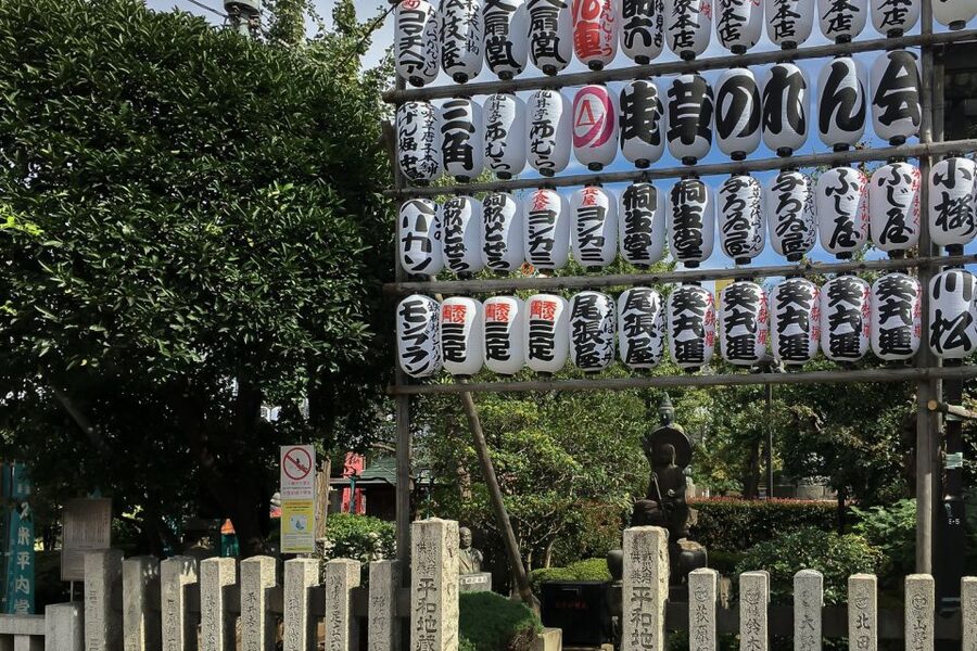 Tokyo: Tsukiji Fish Market Visit and Asakusa Food Tour - Group size, pace, and practical comfort