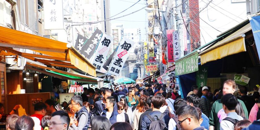 Tokyo Tsukiji Food & Culture Private Tour Licensed Guide - Transport, meeting point, and practical limits