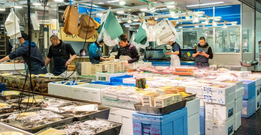 Tokyo Tsukiji Food & Culture Private Tour Licensed Guide - Toyosu Market and the newer face of seafood Tokyo