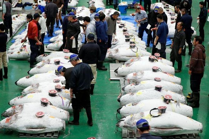 Toyosu Market Morning Tuna Auction and Tsukiji Food Tour with Licensed Guide - Why Toyosu at 5:00 am is worth the alarm