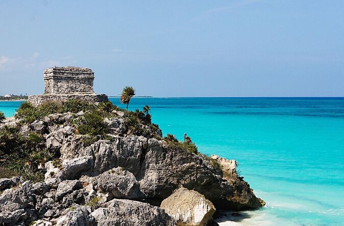 Tulum Turtle Encounter - The Best Private Turtles Snorkel Tour - Key Details Before You Book