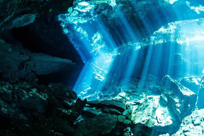 Tulum Turtle Encounter - The Best Private Turtles Snorkel Tour - What the $299 Price Really Buys