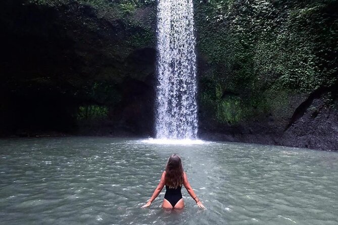 Ubud Day Tour : Waterfall, Temple and Local Night Market Tour - What the guide adds to the day