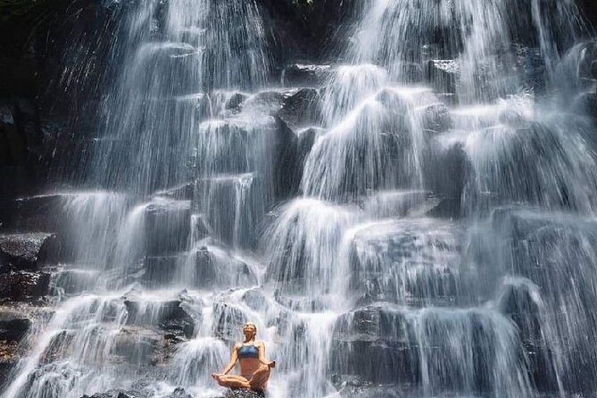 Ubud Day Tour : Waterfall, Temple and Local Night Market Tour - The pace, vehicle, lunch, and practical details